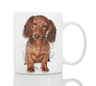 Winston & Bear Dachshund Ceramic Mug