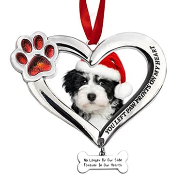 Personalized Pet Memorial Photo Ornament