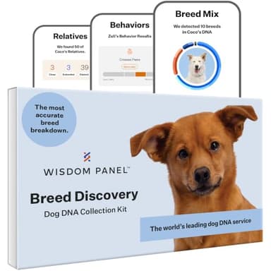 Wisdom Panel Dog DNA Test Kit