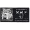 Personalized Granite Pet Memorial Photo Stone