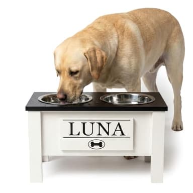 GrooveThis Woodshop Personalized Elevated Feeding Station with Storage