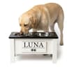 GrooveThis Woodshop Personalized Elevated Feeding Station with Storage