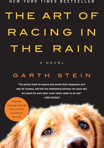 The Art of Racing in the Rain by Garth Stein (Paperback)