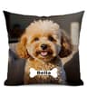 Velvet Custom Photo and Text Pillow