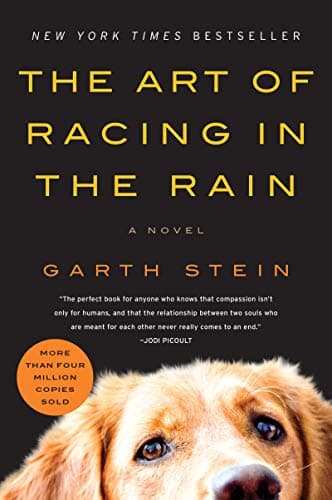The Art of Racing in the Rain by Garth Stein (Paperback)
