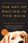 The Art of Racing in the Rain by Garth Stein (Paperback)