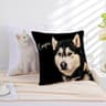 Watercolor Pet Photo and Name Pillow Cover