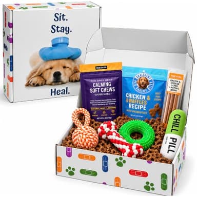 Dog Care-Package Gift Basket