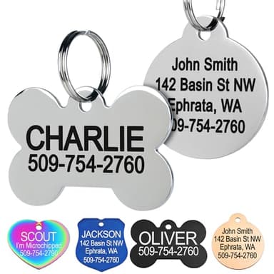GoTags Engraved Stainless Steel ID Tag