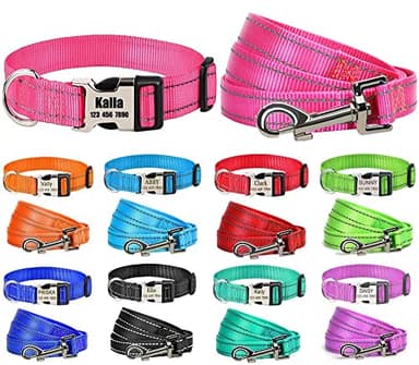 MOONPET Personalized Dog Collar and Leash Set