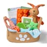 Premium Puppy Starter Kit Gift Box