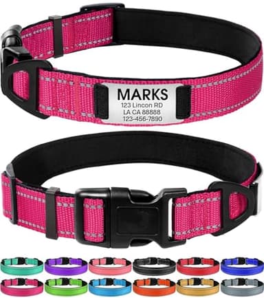 Joytale Personalized Dog Collar with Built-In Name Plate
