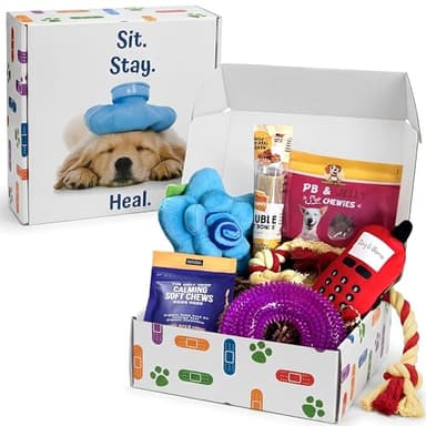 Dog Care-Package Gift Basket