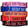 GoTags Personalized Embroidered Dog Collar