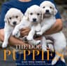 The Dogist Puppies (Hardcover Photo Book)