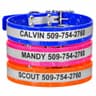 GoTags Waterproof BioThane Personalized Dog Collar