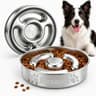 Styletify Personalized Stainless Steel Slow Feeder Bowl