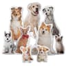 20-Inch Pet-Shaped Photo Pillow