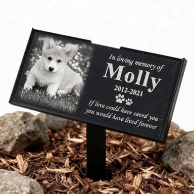 Personalized Granite Pet Memorial Photo Stone