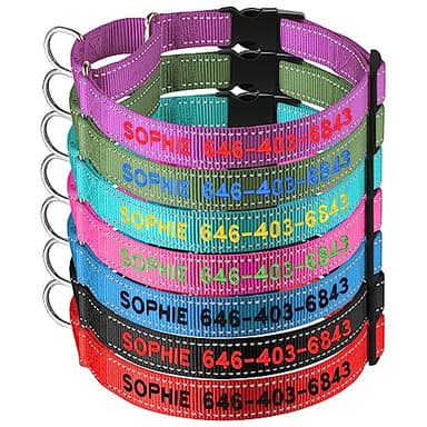 Suncliff Personalized Reflective Martingale Dog Collar