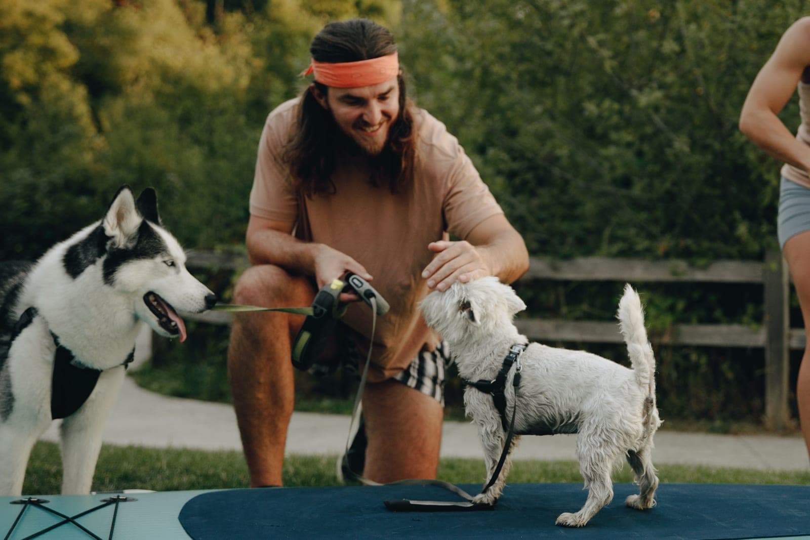 A man smiling with his dog on a bright walk