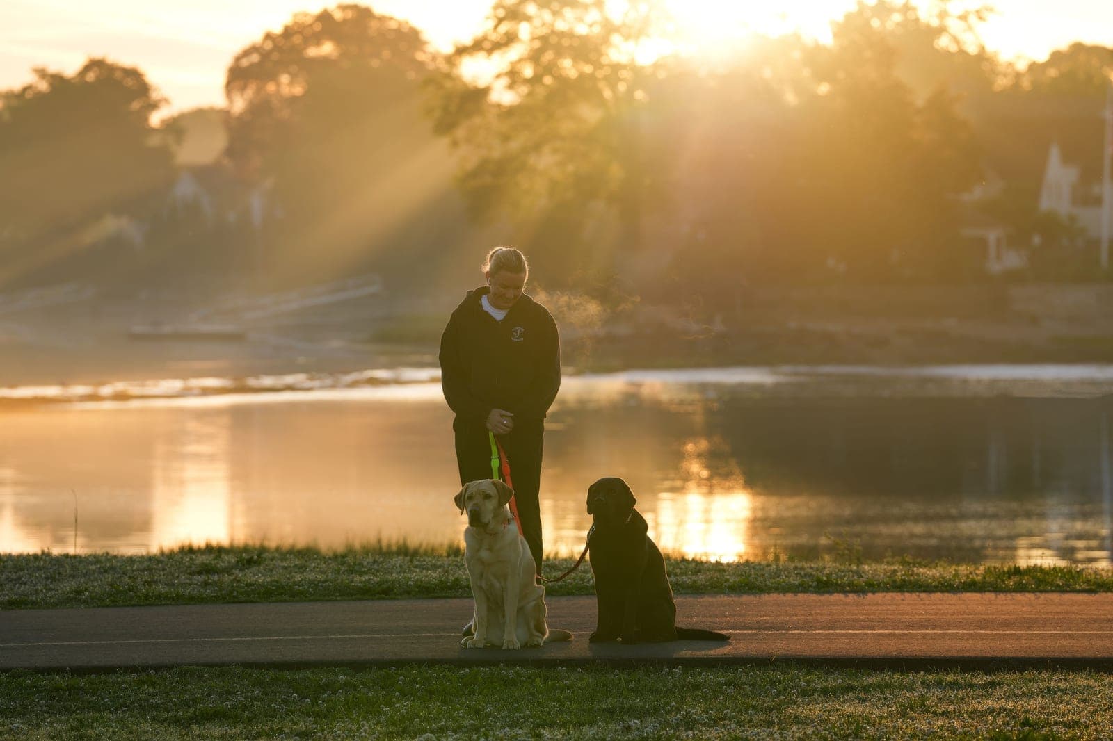 A person walking a happy dog on a leash in the morning