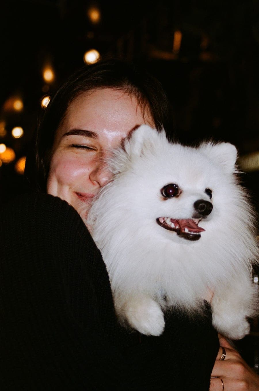 A happy dog resting its chin on a smiling person's lap in bright, warm light