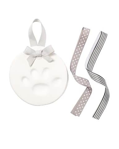 Paw-Print Keepsake Ornament Kit