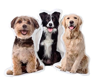 Custom Pet Photo Pillow